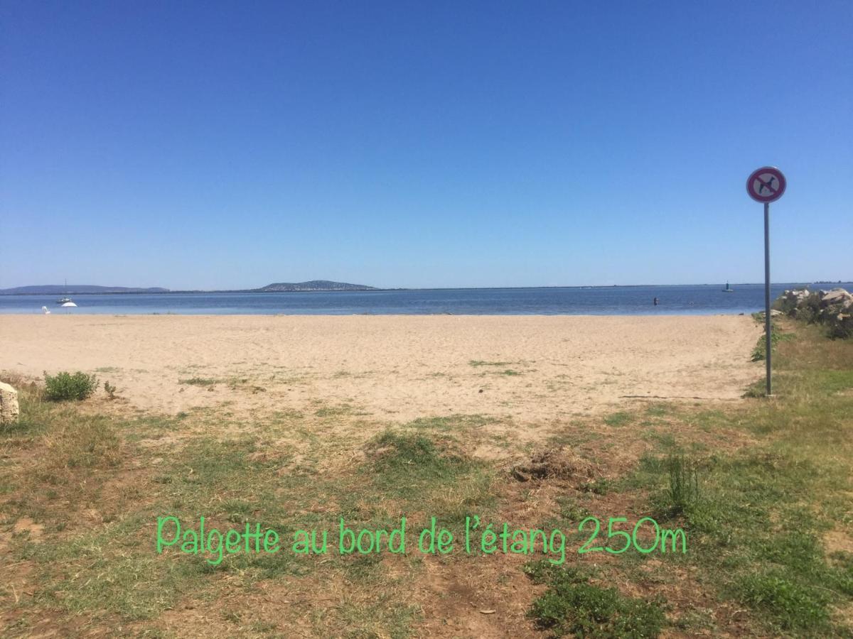 Horte Neuve Marseillan  Luaran gambar
