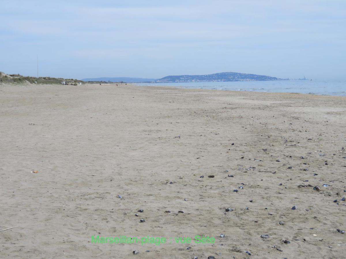 Horte Neuve Marseillan  Luaran gambar